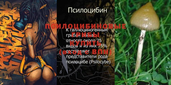 ешки Абаза