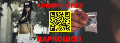 шишки Кандалакша
