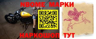 шишки Кандалакша