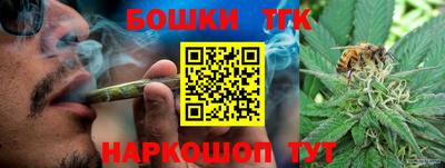 шишки Кандалакша