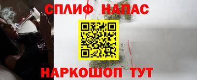 шишки Кандалакша
