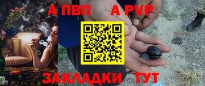 шишки Кандалакша