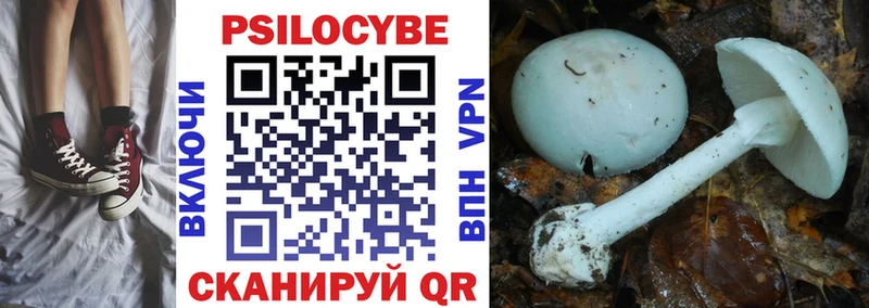 hydra как войти  Элиста  Галлюциногенные грибы мухоморы 