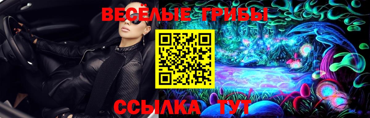 Галлюциногенные грибы Psilocybe  Вход с VPN  Элиста 